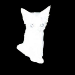 收聽Jensy的Make Music Instead of Studying歌詞歌曲