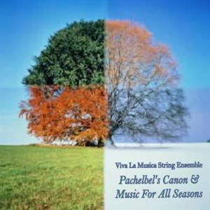 收聽Viva La Musica String Ensemble的Ave Maria歌詞歌曲