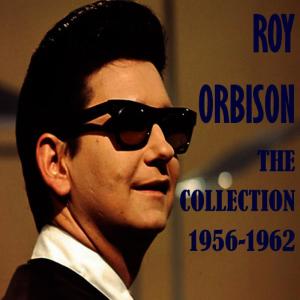 ดาวน์โหลดและฟังเพลง Summer Song พร้อมเนื้อเพลงจาก Roy Orbison