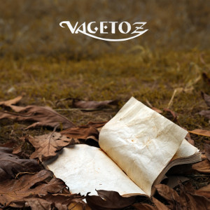 ดาวน์โหลดและฟังเพลง Usai Pencarianku พร้อมเนื้อเพลงจาก Vagetoz