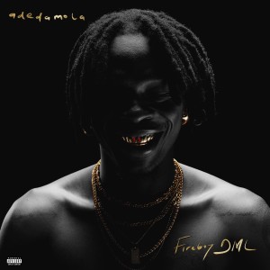 收聽Fireboy DML的ecstasy歌詞歌曲