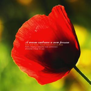 收聽신수현的It hugs me warmly.歌詞歌曲