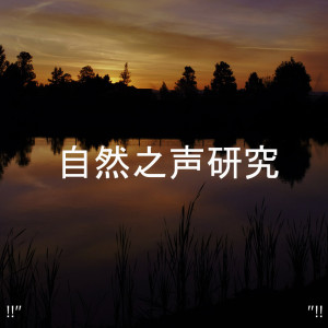 收聽Yoga的ASMR Rain歌詞歌曲