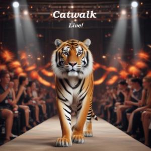 收聽Catwalk的Three ships (Live)歌詞歌曲