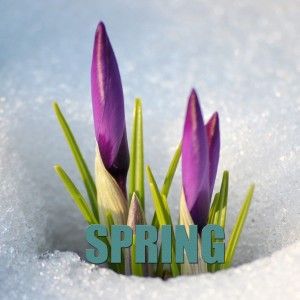 Dengarkan lagu Spring nyanyian Gen dengan lirik