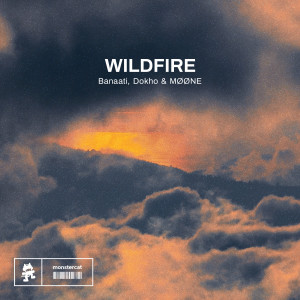 Dokho的專輯Wildfire