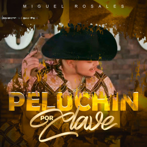 Listen to Peluchin Por Clave song with lyrics from Miguel Rosales