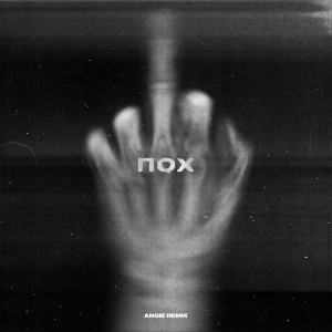 Listen to Пох (Anqie Remix) (Explicit) (Anqie Remix|Explicit) song with lyrics from Жулик