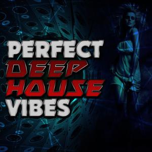 ดาวน์โหลดและฟังเพลง Totally Fine(Nick Hussey Remix) พร้อมเนื้อเพลงจาก Perfect Deep House