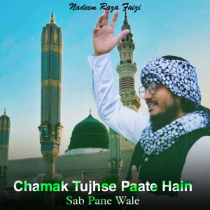 Album Chamak Tujhse Paate Hain Sab Pane Wale oleh Nadeem Raza Faizi