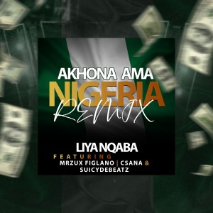 ดาวน์โหลดและฟังเพลง Akhona Ama Nigeria (Remix) พร้อมเนื้อเพลงจาก liyanqaba