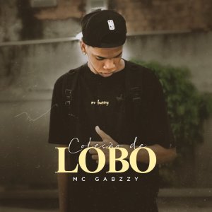 Listen to COLEÇÃO DE LOBO song with lyrics from MC GABZZY