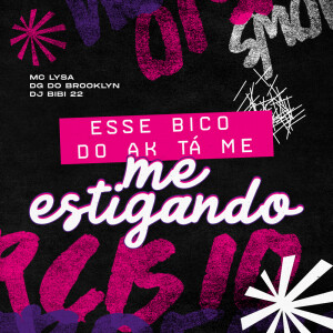收听Mc Lysa的Esse Bico do AK, Tá Me Estigando (Explicit)歌词歌曲
