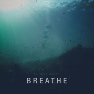 收聽Forest Blakk的Breathe歌詞歌曲