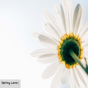 ดาวน์โหลดและฟังเพลง Spring Love พร้อมเนื้อเพลงจาก 너울 (Neoul)