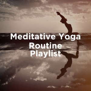 Album Meditative Yoga Routine Playlist from 