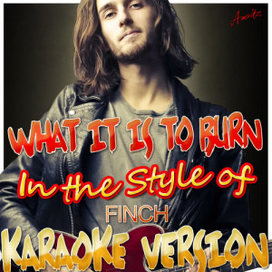 ดาวน์โหลดและฟังเพลง What It Is to Burn (In the Style of Finch) [Karaoke Version] (Karaoke Version) พร้อมเนื้อเพลงจาก Ameritz - Karaoke
