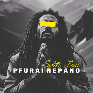 Album Pfurai Nepano from DJ Adrenalinjunkie Splits Loui