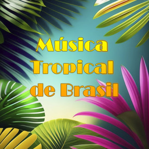 收聽Orquesta Tropical de Oliveiro Valdés的Batucada歌詞歌曲