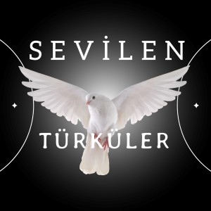 Album Sevilen Türküler oleh Various Artists