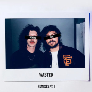 Wasted (Remixes Pt. 1)