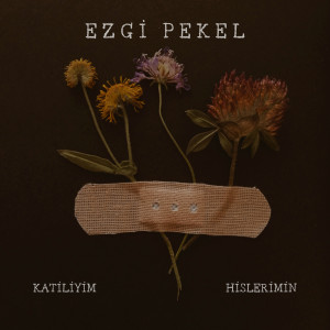 Listen to Katiliyim Hislerimin song with lyrics from Ezgi Pekel