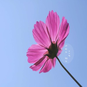 Dengarkan 여름밤 lagu dari Mmiribyul dengan lirik