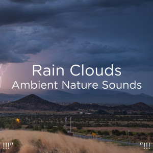 Thunderstorm Sound Bank的专辑!!!" Rain Clouds Ambient Nature Sounds "!!!