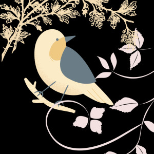 收听Severinus Journey的Kicau Burung Sikatan Londo Gacor歌词歌曲