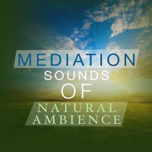 Sound Library XL的專輯Mediation Sounds of Natural Ambience