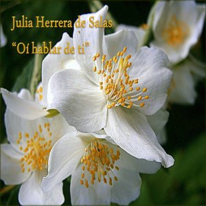 收聽Julia Herrera De Salas的Si, Sibari歌詞歌曲