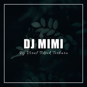 Album DJ El Perdon Mashup from DJ MIMI