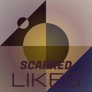 อัลบัม Scarred Likes ศิลปิน Various