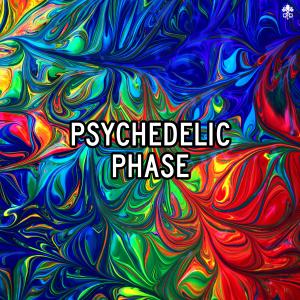 Album Psychedelic Phase from Various