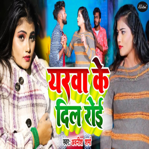 Album Yarava Ke Dil Roi from 