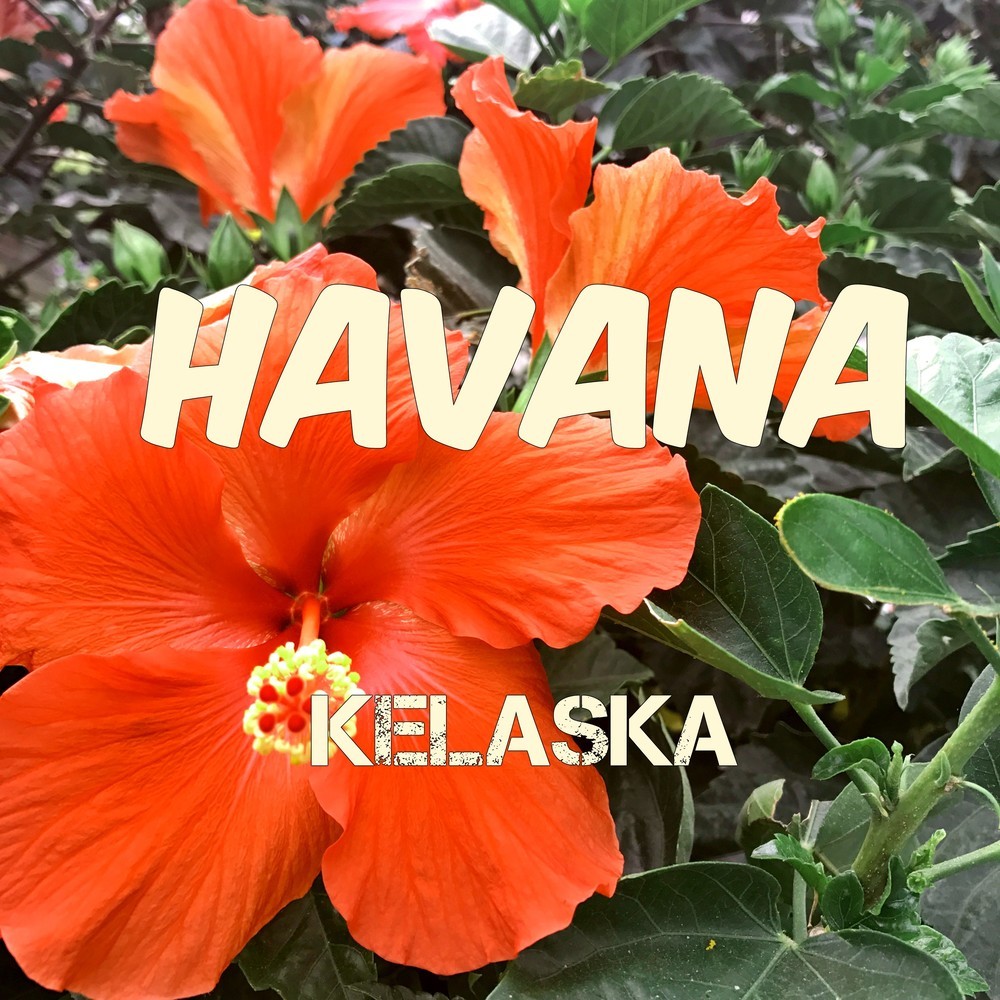 Havana