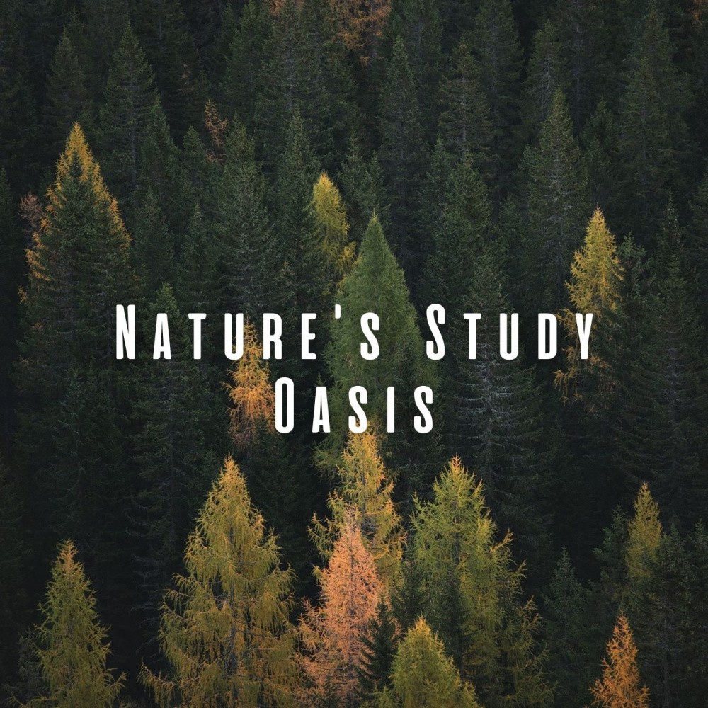 Energetic Melodies for Motivated Focus