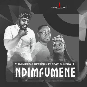 Album Ndimfumene from DJ Nipro