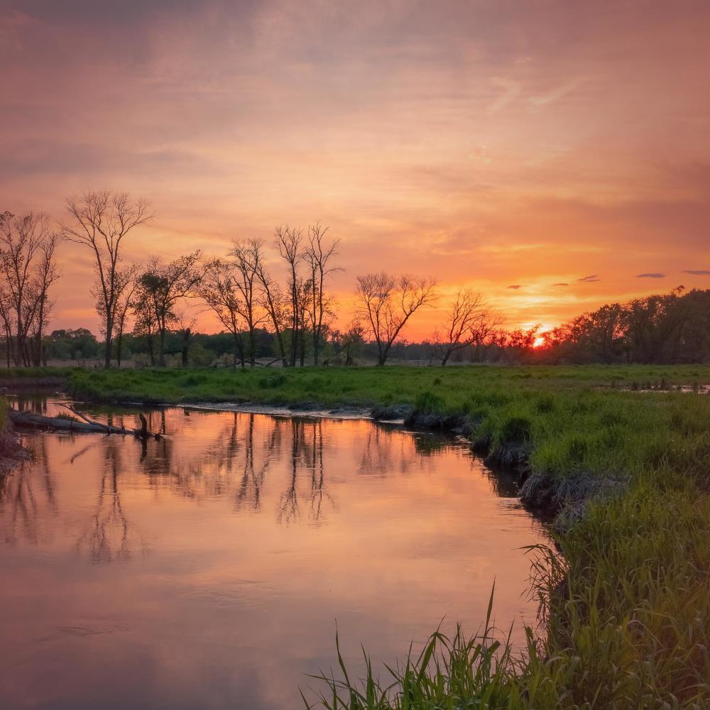 Frogs and River Sounds with Birds for Meditation and Relaxation