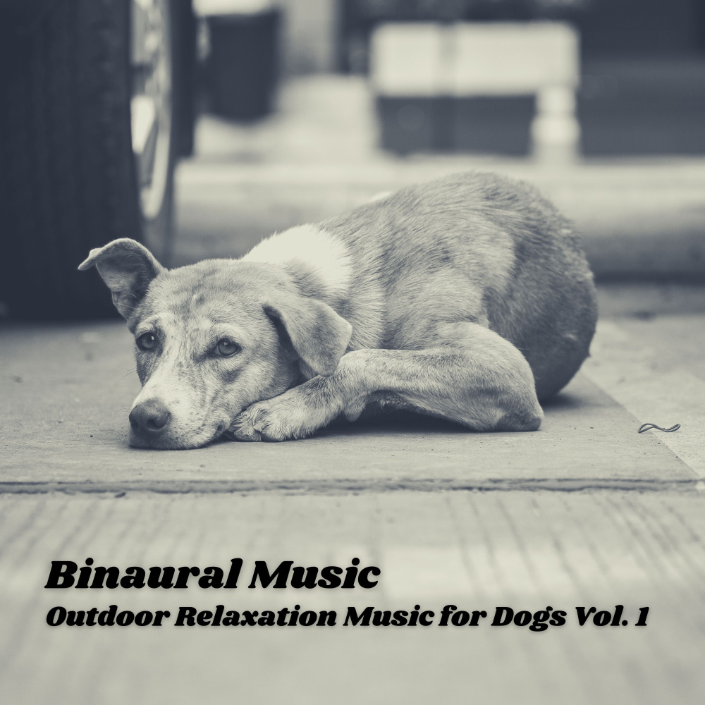 Tranquil Meditation