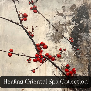 Japanese Relaxation and Meditation的專輯Spa Relaxation Oriental Flute and Sitar