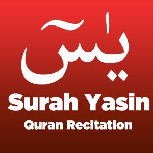ดาวน์โหลดและฟังเพลง Surah Yasin (Yaseen) Quran Recitation พร้อมเนื้อเพลงจาก Quran Studio