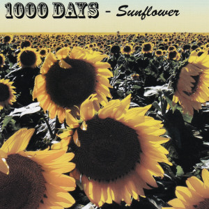 ดาวน์โหลดและฟังเพลง Sunflower พร้อมเนื้อเพลงจาก Valerie Hays