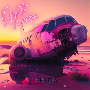 收聽sheug的Pense à moi (feat. Collëtte & Angie steel)歌詞歌曲