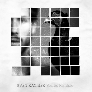 Listen to Scarlet Pitch Dreams (RSS Disco & Sugarwater Remix) song with lyrics from Sven Kacirek