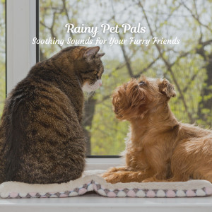 Rainy Pet Pals: Soothing Sounds for Your Furry Friends dari Prince Of Rain