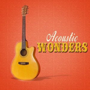 Acoustic Wonders