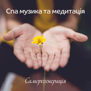 Академія Релаксу Медитації的專輯Спа музика та медитація (Саморегенерація, Відновлення, Духовне очищення, Класичний масаж, Сон)