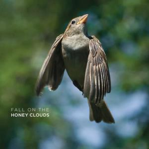 ดาวน์โหลดและฟังเพลง Through the Trees พร้อมเนื้อเพลงจาก Honey Clouds