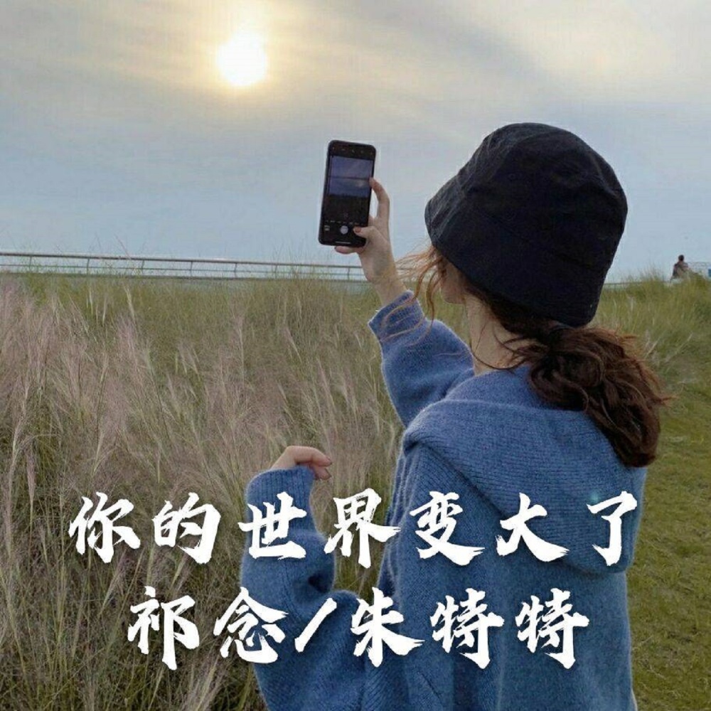 你的世界变大了我就变得可有可无 (抖音原版)